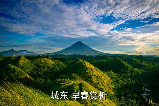 城东 早春赏析