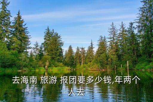 去海南 旅游 报团要多少钱,年两个人去