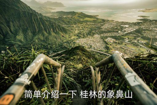 简单介绍一下 桂林的象鼻山