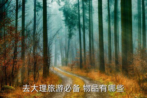 去大理旅游必备 物品有哪些