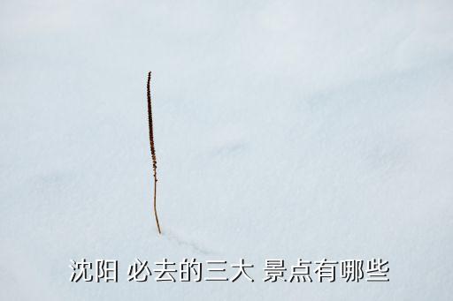  沈阳 必去的三大 景点有哪些