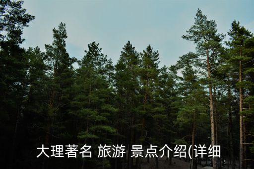  大理著名 旅游 景点介绍(详细