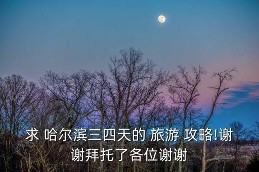 求 哈尔滨三四天的 旅游 攻略!谢谢拜托了各位谢谢