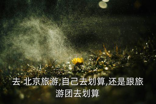 去 北京旅游,自己去划算,还是跟旅游团去划算