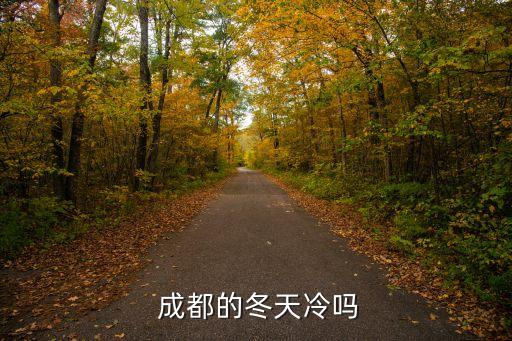  成都的冬天冷吗