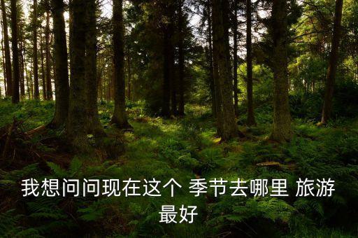 现在的季节去哪里旅游比较合适呢,带两个孩子去哪里旅游比较合适