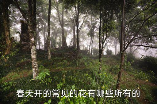 春天开的常见的花有哪些所有的