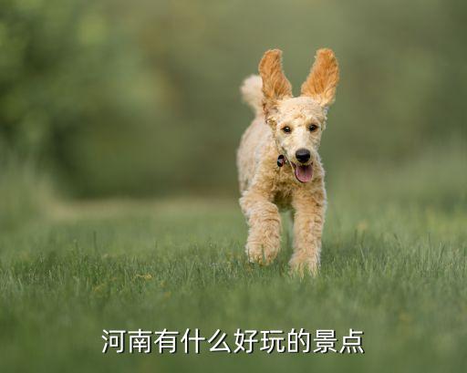 河南省去哪玩合适