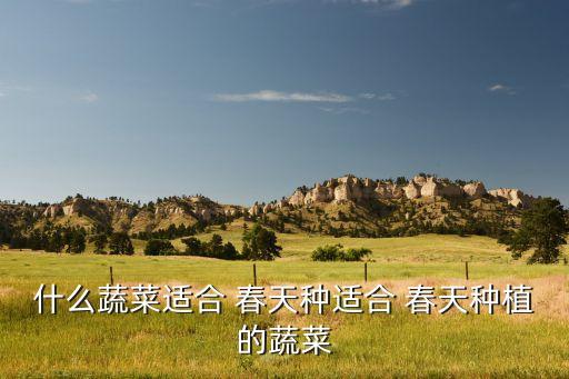 什么蔬菜适合 春天种适合 春天种植的蔬菜