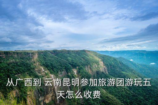 从广西到 云南昆明参加旅游团游玩五天怎么收费