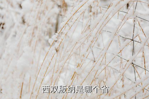  西双版纳是哪个省