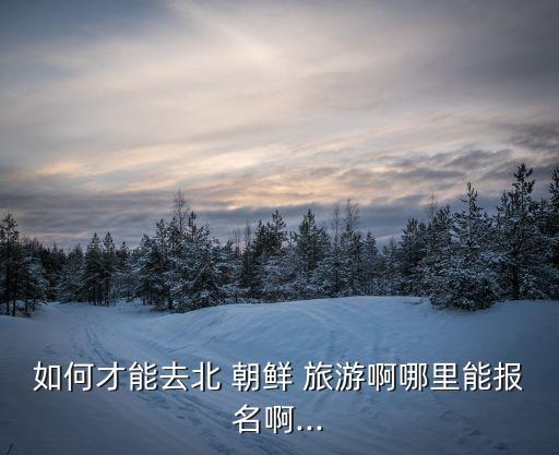如何才能去北 朝鲜 旅游啊哪里能报名啊...