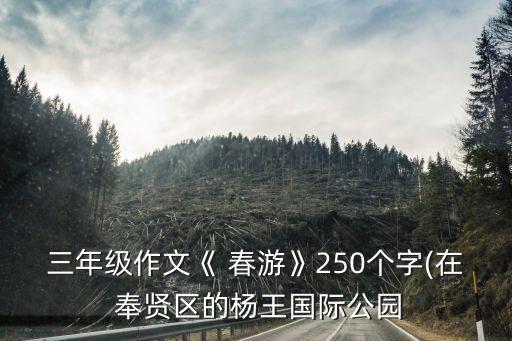 三年级作文《 春游》250个字(在 奉贤区的杨王国际公园