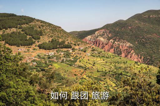 如何 跟团 旅游