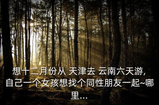 想十二月份从 天津去 云南六天游,自己一个女孩想找个同性朋友一起~哪里...