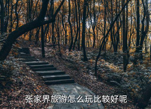  张家界旅游怎么玩比较好呢