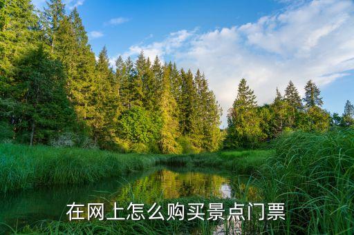 在网上怎么购买景点门票