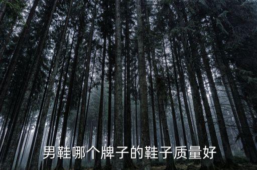  男鞋哪个牌子的鞋子质量好