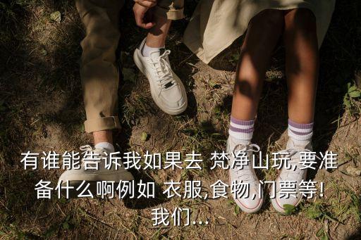 有谁能告诉我如果去 梵净山玩,要准备什么啊例如 衣服,食物,门票等!我们...