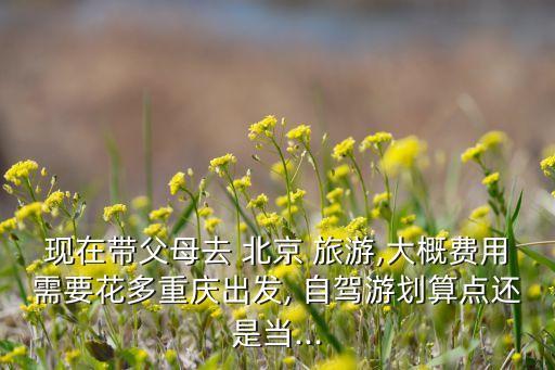 现在带父母去 北京 旅游,大概费用需要花多重庆出发, 自驾游划算点还是当...