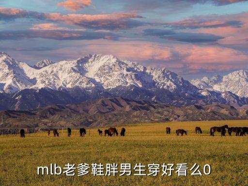 mlb老爹鞋胖男生穿好看么0