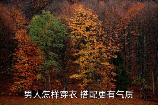 男人怎样穿衣 搭配更有气质