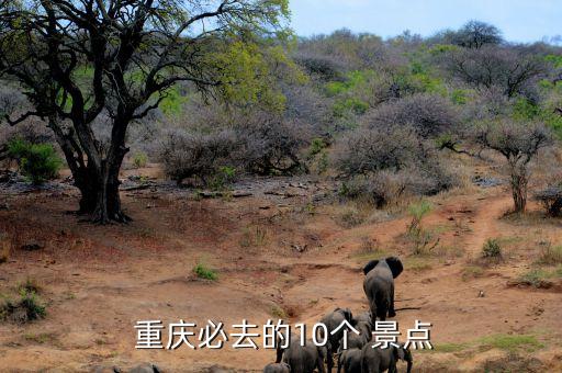  重庆必去的10个 景点