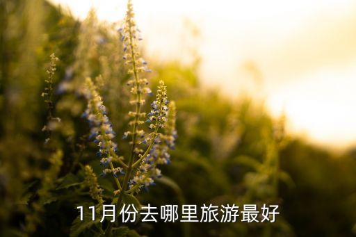 11月份去哪里旅游最好