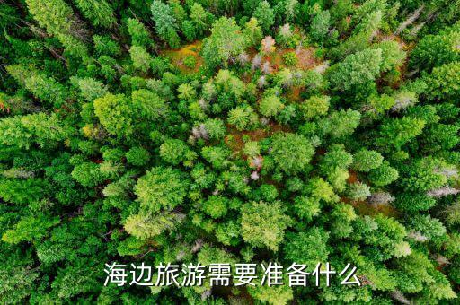  海边旅游需要准备什么
