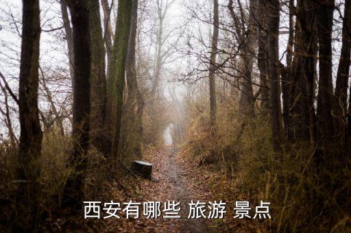  西安有哪些 旅游 景点