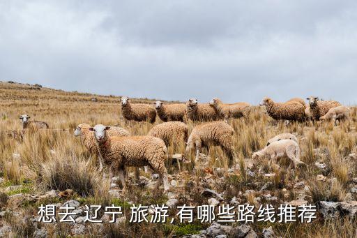 想去 辽宁 旅游,有哪些路线推荐