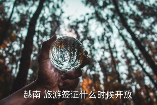 越南 旅游签证什么时候开放
