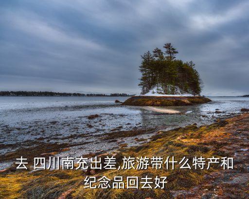 去 四川南充出差,旅游带什么特产和 纪念品回去好