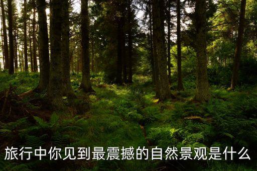 旅行中你见到最震撼的自然景观是什么
