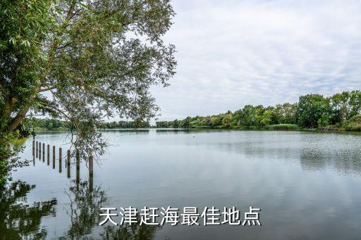天津赶海最佳地点