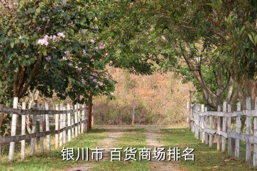 银川市 百货商场排名