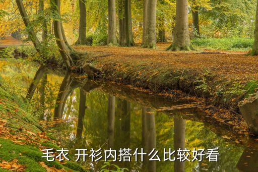  毛衣 开衫内搭什么比较好看