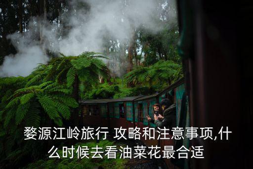 江西婺源游玩攻略,婺源游玩攻略及路线