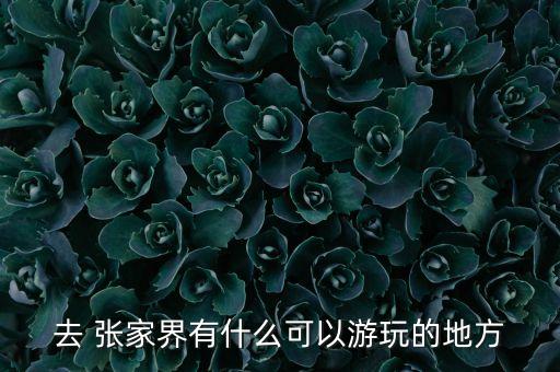 张家界旅游攻略百度百科,新加坡旅游攻略百度百科