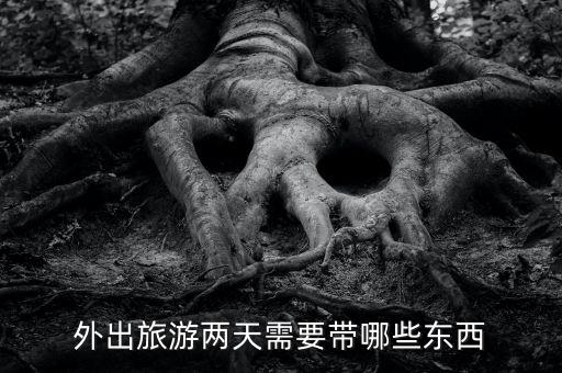 外出旅游两天需要带哪些东西