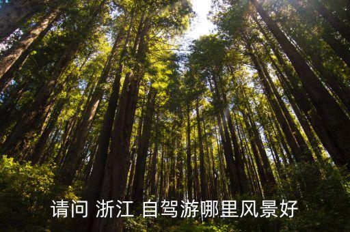 浙江3日游自驾攻略,浙江普陀山1日游攻略