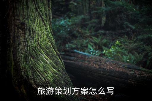 云南旅行计划书,旅行计划书英语作文
