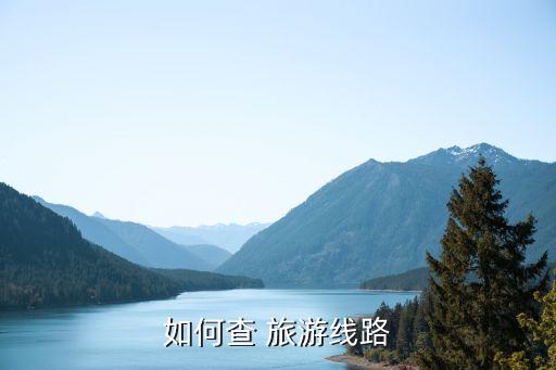 如何查 旅游线路