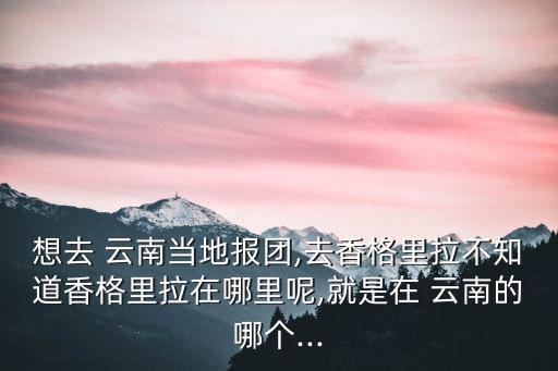 云南当地团怎么报,去云南是不是报当地团好一些