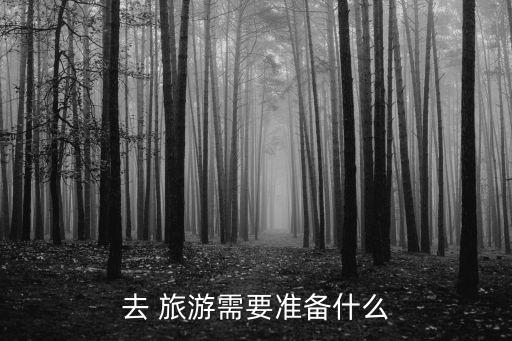 去 旅游需要准备什么