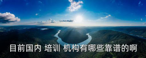 目前国内 培训 机构有哪些靠谱的啊
