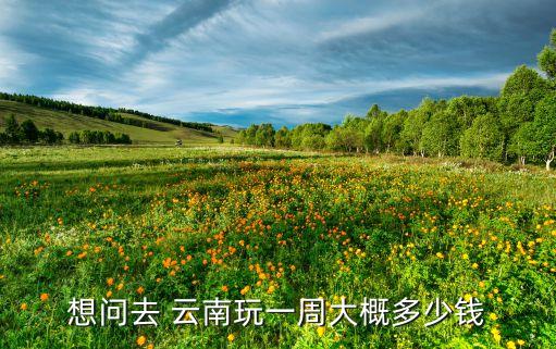 想问去 云南玩一周大概多少钱