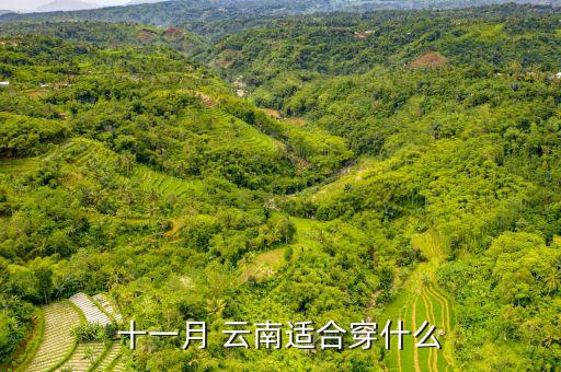 十一月 云南适合穿什么