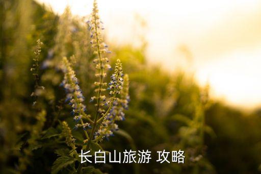  长白山旅游 攻略