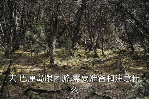 去 巴厘岛跟团游,需要准备和注意什么